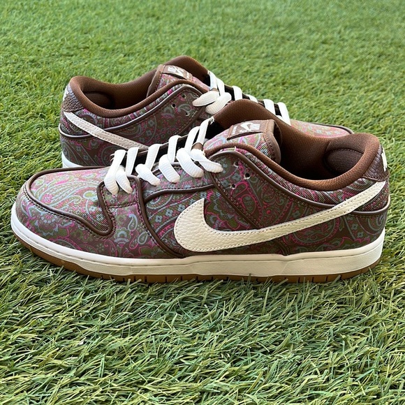 Nike Other - Nike SB Dunk Low Pro